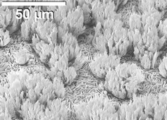 Graphical abstract: Control of the surface morphology of solid electrolyte films during field-driven growth in a reactive plasma