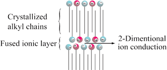 Graphical abstract: Anisotropic ion conduction in a unique smectic phase of self-assembled amphiphilic ionic liquids