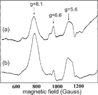 Graphical abstract: EPR characteristics of chloride-depleted photosystem II membranes in the presence of other anions