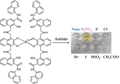 Graphical abstract: Phosphate anion-selective recognition by boron complex having plural hydrogen bonding sites