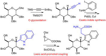 Graphical abstract: Stereocontrolled syntheses of α-C-mannosyltryptophan and its analogues