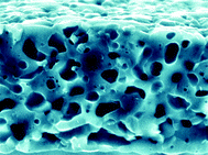 Graphical abstract: Synthesis of tri-calcium phosphate sponges by interfacial deposition and thermal transformation of self-supporting calcium phosphate films