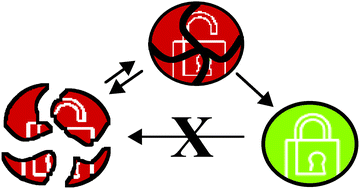 Graphical abstract: Locking self-assembly: strategies and outcomes