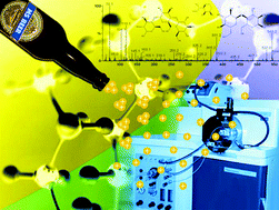 Graphical abstract: Electrospray ionization mass spectrometry fingerprinting of beer