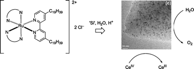 Graphical abstract: The oxidation of water by cerium(iv) catalysed by nanoparticulate RuO2 on mesoporous silica