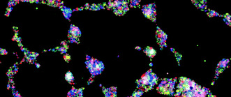 Graphical abstract: Porous functionalised silica particles: a potential platform for biomolecular screening