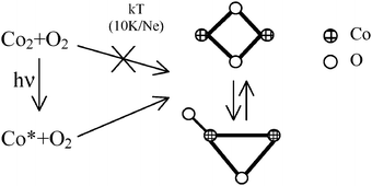 Graphical abstract: Reactivity of cobalt dimer and molecular oxygen in rare gas matrices. IR spectrum, photophysics and structure of Co2O2