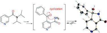 Graphical abstract: Studies on the 4-benzoylpyridine-3-carboxamide entity as a fragment model of the Isoniazid–NAD adduct