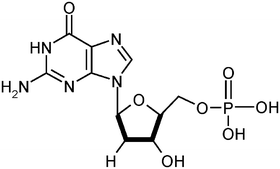 Graphical abstract: Investigations of electron-transfer reactions and the redox mechanism of 2′-deoxyguanosine-5′-monophosphate using electrochemical techniques