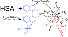 Graphical abstract: A binaphthyl-containing Eu(iii) complex and its interaction with human serum albumin: a luminescence study