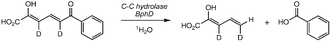 Graphical abstract: Stereochemistry of the reaction catalysed by 2-hydroxy-6-keto-6-phenyl-hexa-2,4-dienoic acid 5,6-hydrolase (BphD)