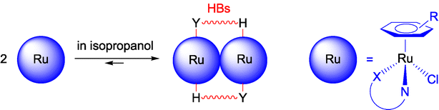 Graphical abstract: Aggregation in solution of neutral half-sandwich Ru(ii) precatalysts for transfer hydrogenation