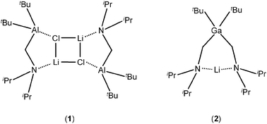 Graphical abstract: Organoaluminium and -gallium compounds with N,N-diisopropylaminomethyl groups