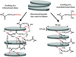 Graphical abstract: Silylation of laponite clay particles with monofunctional and trifunctional vinyl alkoxysilanes