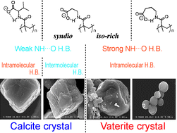 Graphical abstract: Restriction of CaCO3 polymorph by NH⋯O hydrogen-bonded poly(methacryloylaminocarboxylate) ligands: induced polymorph change by strength and/or formation manner of hydrogen bond