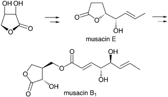 Graphical abstract: Synthesis and stereochemistry of musacins isolated from Streptomyces griseoviridis (FH-S 1832)
