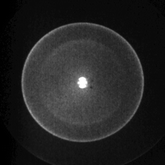 Graphical abstract: Photodissociation and photoionization of pyrrole following the multiphoton excitation at 243 and 364.7 nm