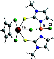 Graphical abstract: Novel poly(methimazolyl)borate complexes of niobium(v) and tantalum(v)