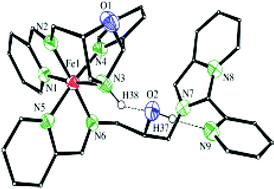 Graphical abstract: Ternary iron(ii) complex with an emissive imidazopyridine arm from Schiff base cyclizations and its oxidative DNA cleavage activity