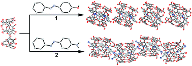 Graphical abstract: Assembly behavior of inclusion complexes of β-cyclodextrin with 4-hydroxyazobenzene and 4-aminoazobenzene