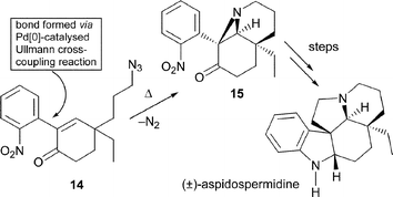 Graphical abstract: Exploiting the palladium[0]-catalysed Ullmann cross-coupling reaction in natural products chemistry: application to a total synthesis of the alkaloid (±)-aspidospermidine