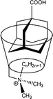 Graphical abstract: Evidence of a self-inclusion phenomenon for a new class of mono-substituted alkylammonium-β-cyclodextrins