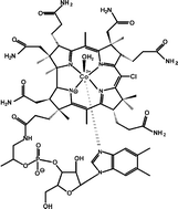 Graphical abstract: Probing the nature of the Co(iii) ion in cobalamins: a comparison of the reaction of aquacobalamin (vitamin B12a) and aqua-10-chlorocobalamin with some anionic and N-donor ligands