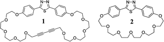 Graphical abstract: Liquid crystalline paracyclophanes and ansa compounds—series of polyether macrocycles incorporating diacetylene, phenyl, biphenyl, p-terphenyl and 2,5-diphenyl-1,3,4-thiadiazole rigid cores