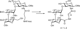 Graphical abstract: The design, synthesis and evaluation of high affinity macrocyclic carbohydrate inhibitors