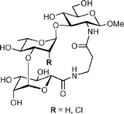 Graphical abstract: Developing high affinity oligosaccharide inhibitors: conformational pre-organization paired with functional group modification