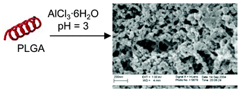 Graphical abstract: Helical poly-l-glutamic acid templated nanoporous aluminium oxides