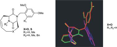 Graphical abstract: Design and synthesis of new bicyclic diketopiperazines as scaffolds for receptor probes of structurally diverse functionality