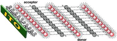 Graphical abstract: Nanosized inorganic/organic composites for solar energy conversion