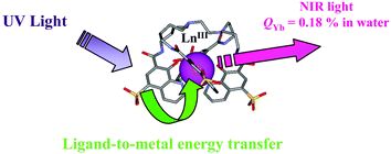 Graphical abstract: Lanthanide 8-hydroxyquinoline-based podates with efficient emission in the NIR range