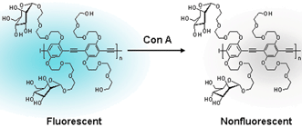 Graphical abstract: Mannose-substituted PPEs detect lectins: A model for Ricin sensing