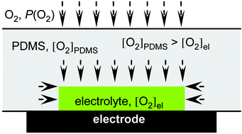 Graphical abstract: An electrochemically driven poly(dimethylsiloxane) microfluidic actuator: oxygen sensing and programmable flows and pH gradients