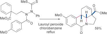 Graphical abstract: Model studies toward the synthesis of kirkine