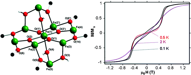Graphical abstract: Formal encapsulation of [Fe(H2O)6]3+ by {Fe2(hpdta)} units gives a system of S = 13/2 FeIII9 oxo clusters showing magnetic hysteresis
