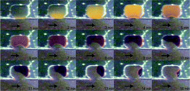 Graphical abstract: Microfluidic chip-based liquid–liquid extraction and preconcentration using a subnanoliter-droplet trapping technique