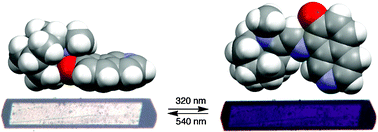 Graphical abstract: Photochromism of a spirooxazine in the single crystalline phase