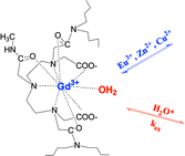 Graphical abstract: Synthesis and complexation properties of DTPA-N,N″-bis[bis(n-butyl)]-N′-methyl-tris(amide). Kinetic stability and water exchange of its Gd3+ complex