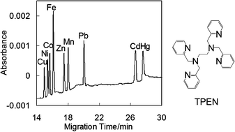 Graphical abstract: Simultaneous detection of [metal(ii)–tpen]2+ as kinetically inert cationic complexes using pre-capillary derivatization electrophoresis: an application to biological samples