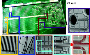 Graphical abstract: Replica multichannel polymer chips with a network of sacrificial channels sealed by adhesive printing method