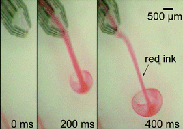 Graphical abstract: Parylene flexible neural probes integrated with microfluidic channels