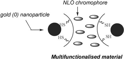 Graphical abstract: One-step template-directed synthesis of multifunctionalised nanoporous silica: on the way to interactive nanomaterials