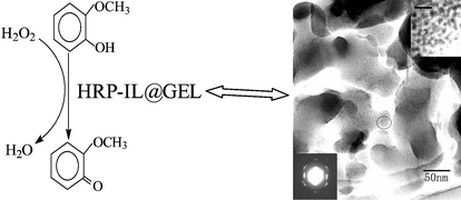 Graphical abstract: Highly active horseradish peroxidase immobilized in 1-butyl-3-methylimidazolium tetrafluoroborate room-temperature ionic liquid based sol–gel host materials