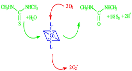 Graphical abstract: Kinetics and mechanism of the Co(ii)-assisted oxidation of thioureas by dioxygen