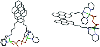 Graphical abstract: A fluorescent pyrophosphate sensor via excimer formation in water