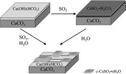 Graphical abstract: Water, sulfur dioxide and nitric acid adsorption on calcium carbonate: A transmission and ATR-FTIR study