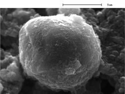 Graphical abstract: Assembling carbon nanotubosomes using an emulsion-inversion technique